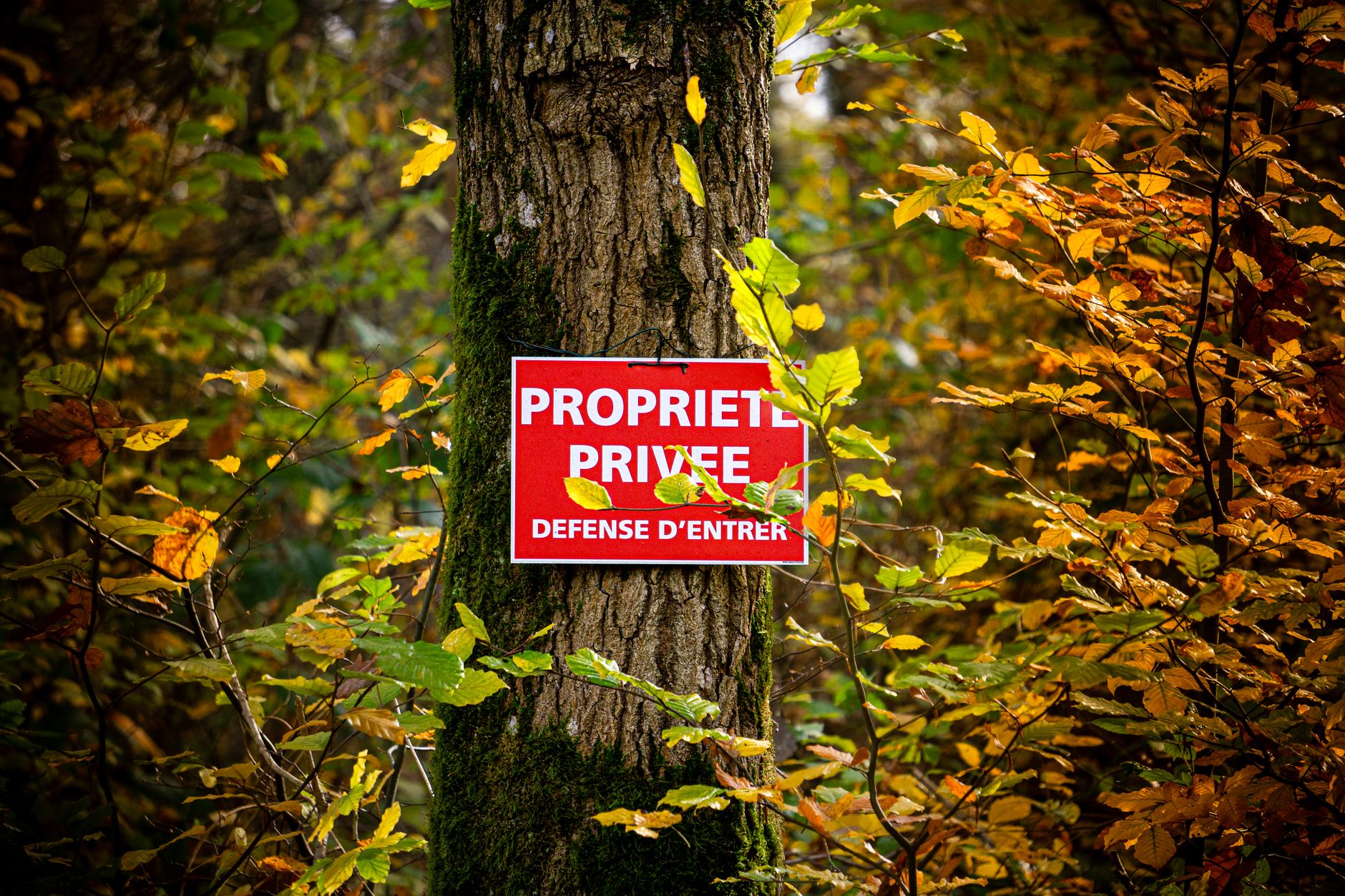 Détective privé à Cherbourg-en-Cotentin